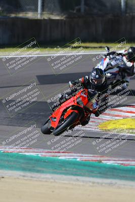 media/Mar-17-2024-Fastrack Riders (Sun) [[c7d6f8c14c]]/Level 2/Turn 6/